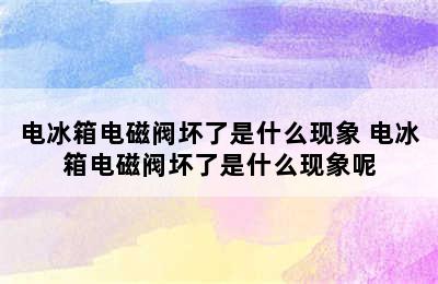 电冰箱电磁阀坏了是什么现象 电冰箱电磁阀坏了是什么现象呢